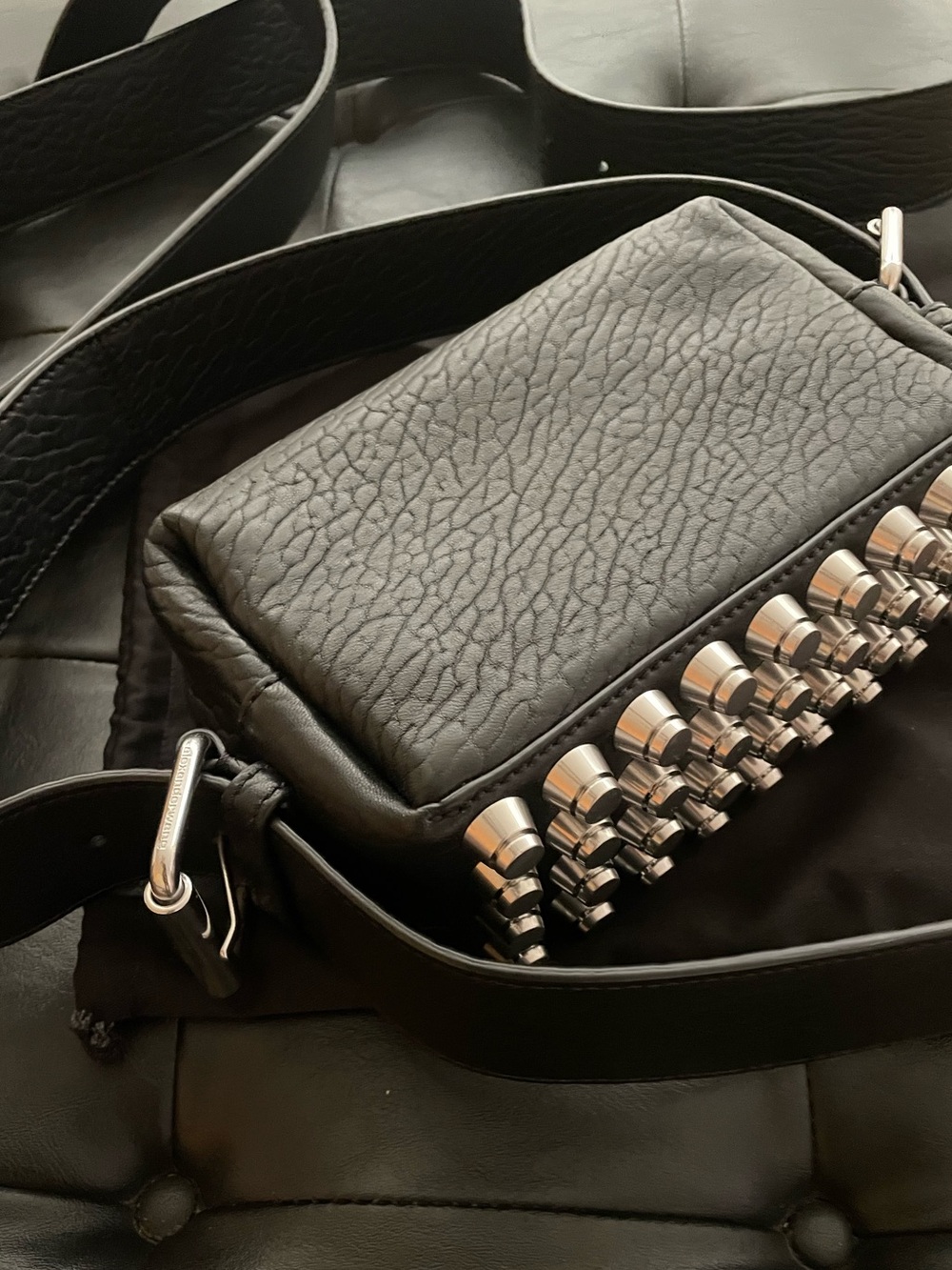Alexander Wang: Ricco small bag